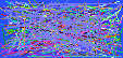 reverse phone directory